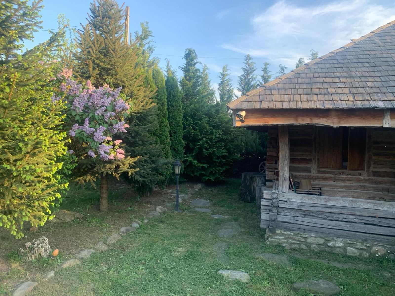 Satul Traditional Runcu  Zewnętrze zdjęcie