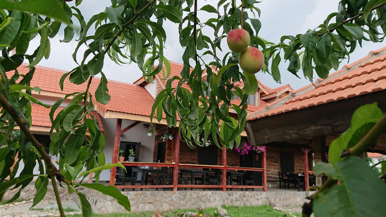 Satul Traditional Runcu  Zewnętrze zdjęcie